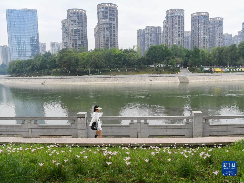 普京手机棋牌